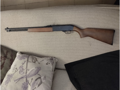 Rifle Winchester 22 L or 22LR