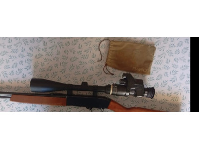 Rifle winchester calibre 22