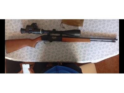 Rifle winchester calibre 22