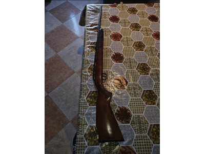 Rifle Savage Calibre 22