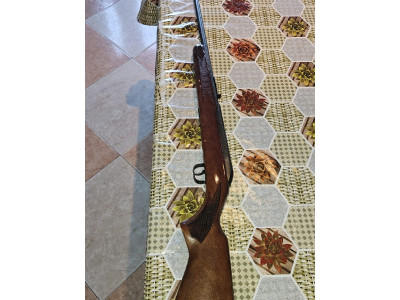 Rifle Savage Calibre 22