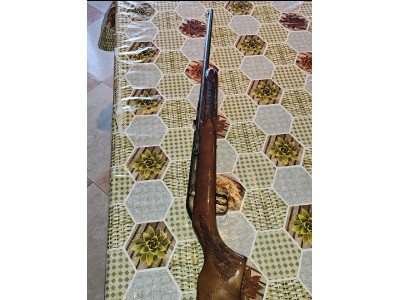 Rifle Savage Calibre 22
