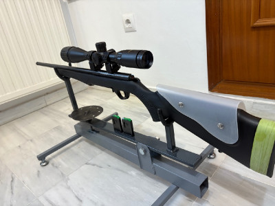 Rossi 17 hmr 