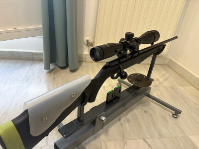Rossi 17 hmr 