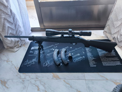 Ruger 10/22 impecable + visor simmons + pack cargadores