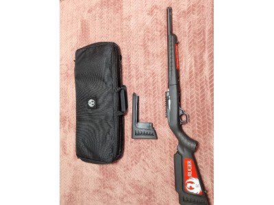 Ruger 10/22 target takedown
