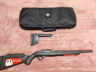 Ruger 10/22 target takedown