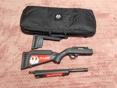 Ruger 10/22 target takedown