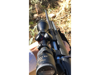 Ruger American Standard 243