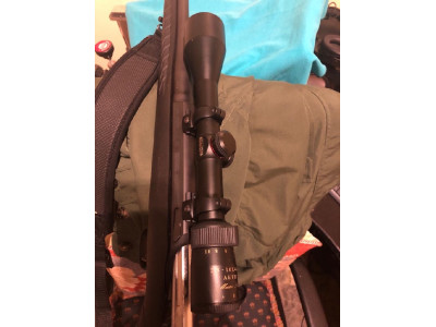 Ruger American Standard 243