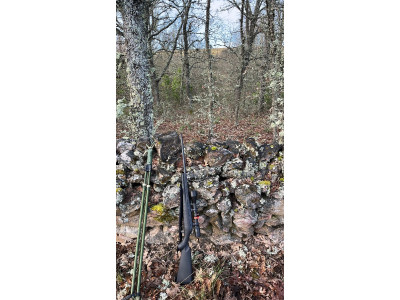 Ruger American Standard .243