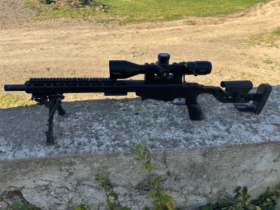 Ruger Precision Rimfire
