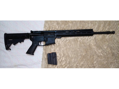 Ruguer AR-556 .300 ACC BLK