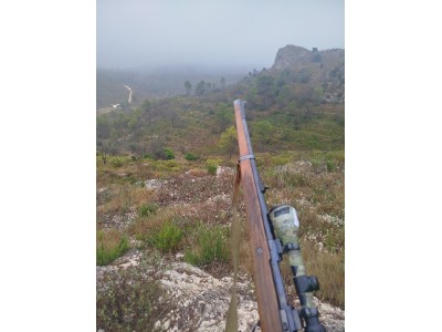 Sako finnbear stutzen calibre 300 wm+ visor bushnell 3-9x50