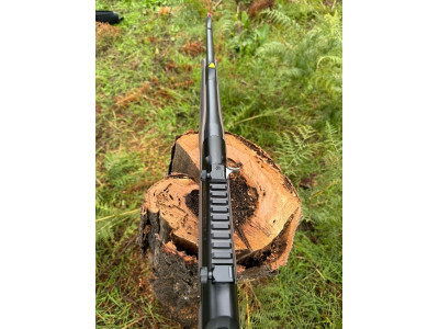 SAUER   303   300 W M