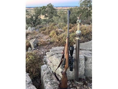 Sauer 100 clasic madera cal300