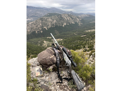 Sauer 101 Alaska 6,5x55SE