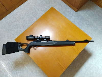 Sauer 303 synchcro 30 06