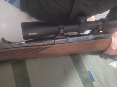 Sauer 80 7mmRm + Bushnell Elite 4500x 2.5 10 x40