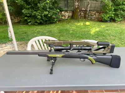 Savage Model 10. 308 WIN.