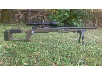 Savage Model 10