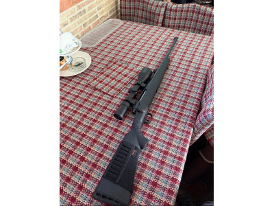 Savage 3006 con visor avistar