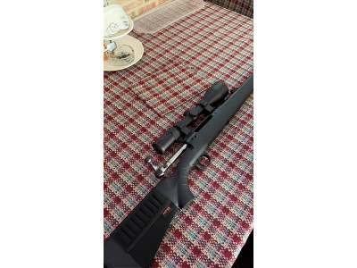 Savage 3006 con visor avistar
