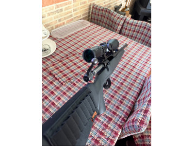 Savage 30-06 con visor Avistar
