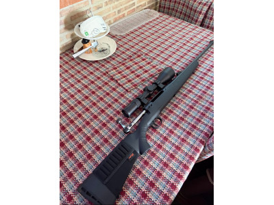Savage 3006 con visor avistar