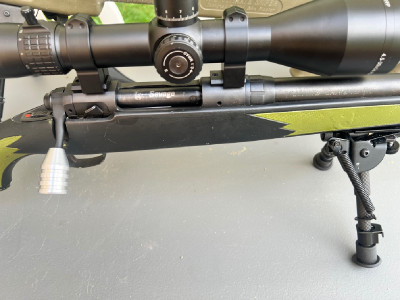 Savage 308 model 110