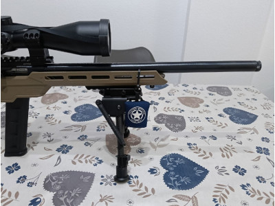 Savage 64 Precisión .22 LR