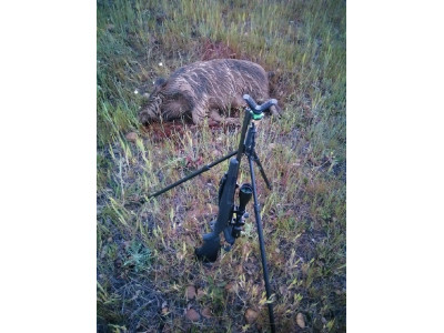 Savage Axis 270 Win de cerrojo