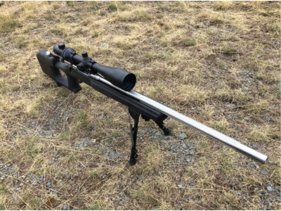 Savage Valmint 308 Win + Visor EFT