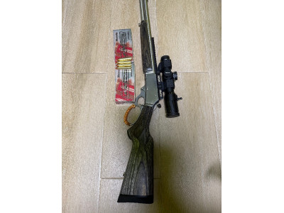 SE VENDE MALIN  45/70 SBL