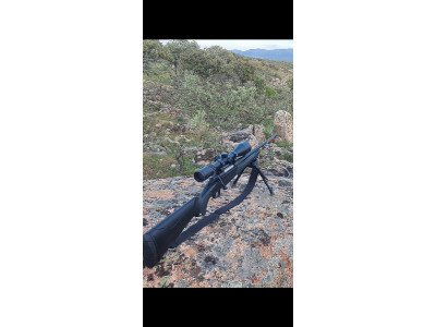 Se vende rifle winchester