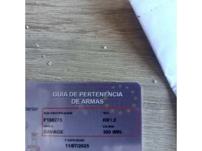 Se vende sabage calibre 300