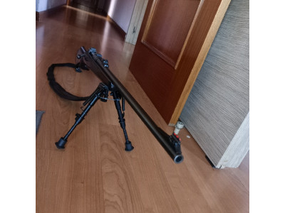 Se vende sabage calibre 300