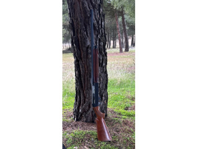 Semiautomática Benelli 121 Urbino