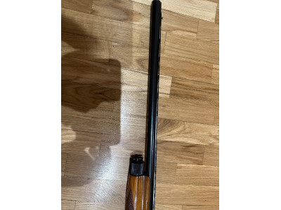 Semiautomática Benelli cal 20