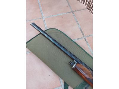 Semiautomática del calibre 12