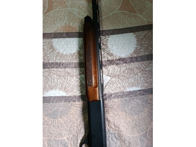 Semiautomática stoeger cal 20