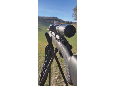 Sichiling calibre 308