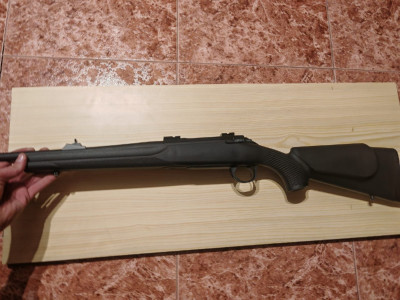 Sichiling europearms