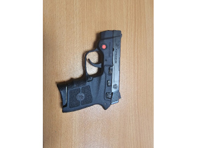 Smith & Wesson Bodyguard 380