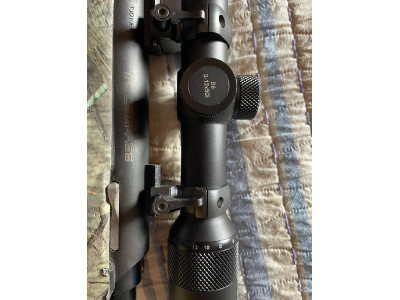Smith & Wesson Compass (cal. 22-250 Rem) con visor