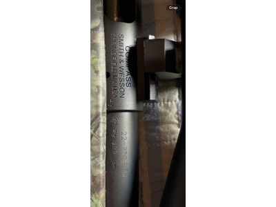 Smith & Wesson Compass (cal. 22-250 Rem) con visor