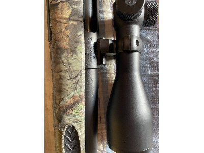 Smith & Wesson Compass (cal. 22-250 Rem) con visor