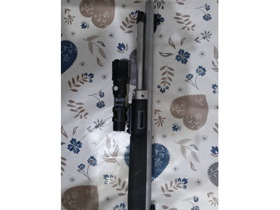 Smith and wesson 1854