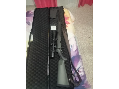 Steyr manlicher cl2 sx300wm