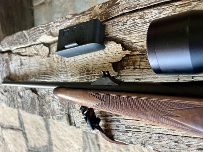 Steyr Mannlicher SBS 96 30.06
